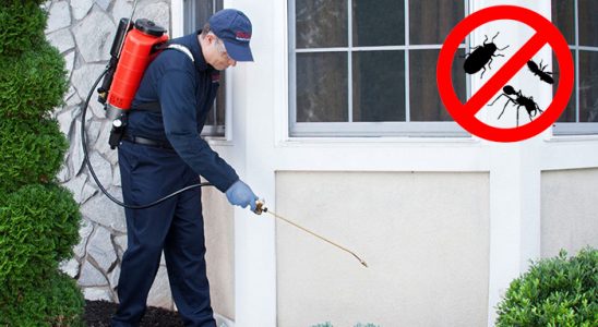 Pertek Akrep İlaçlama böcek ilaçlama ve haşere kontrolü — ilaclama-tr.com